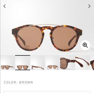 Adidas Brown Multicolored Italia Sunglasses